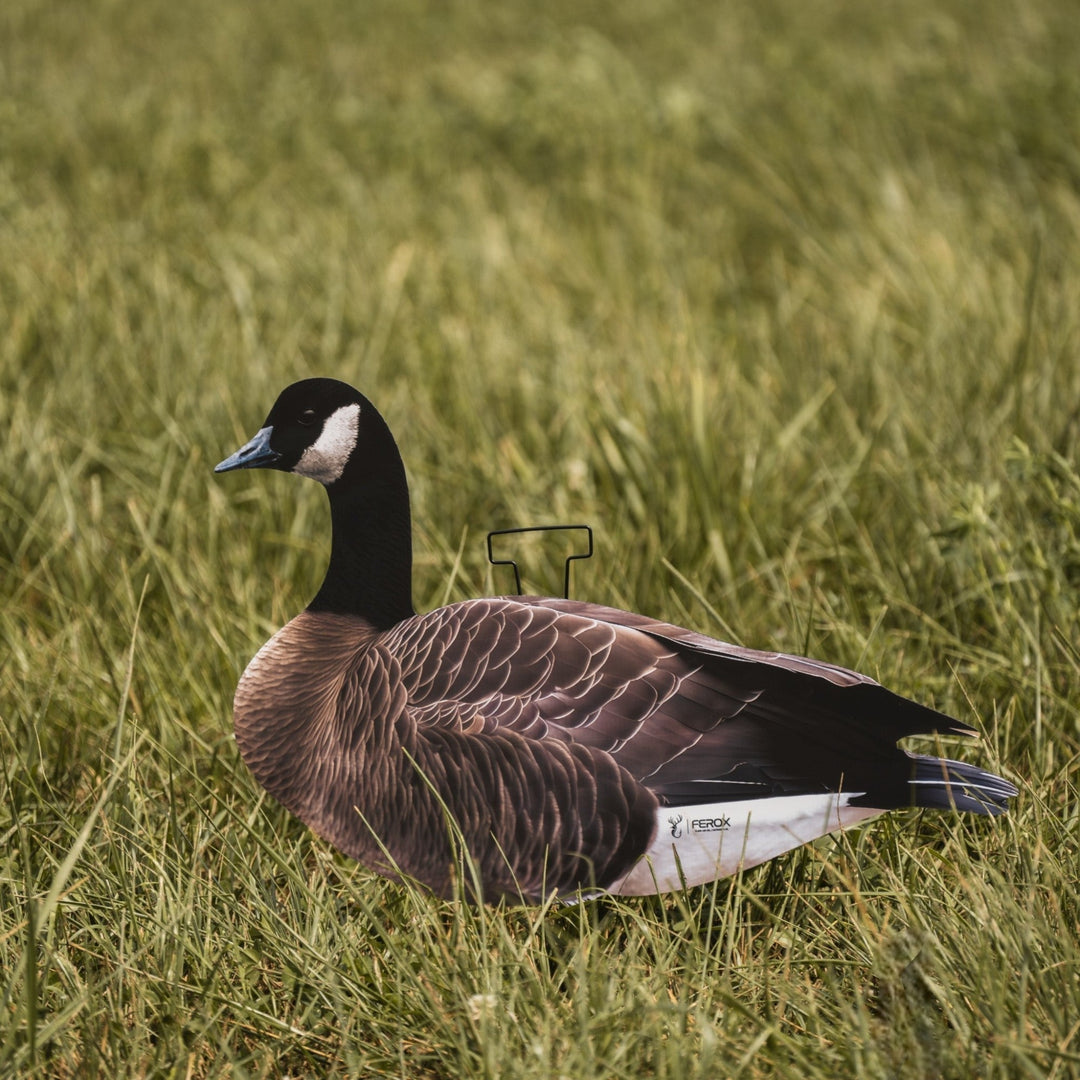 How Goose Vision Works & Why Realistic Contrast Matters for Canada Goose Decoys