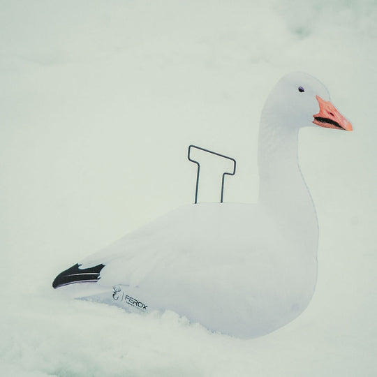 Snow Goose Silhouette Decoys