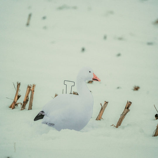 Snow Goose Silhouette Decoys
