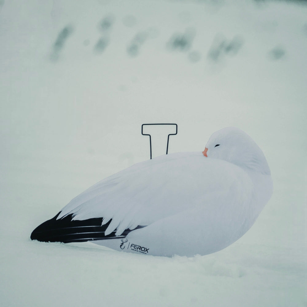 Sleeper Snow Goose Silhouette Decoys