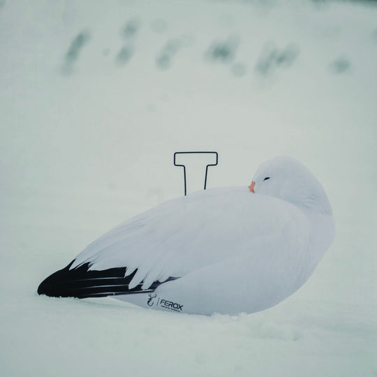 Sleeper Snow Goose Silhouette Decoys